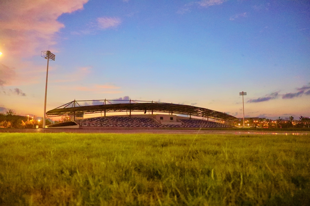 草地上的风景描述已自动生成